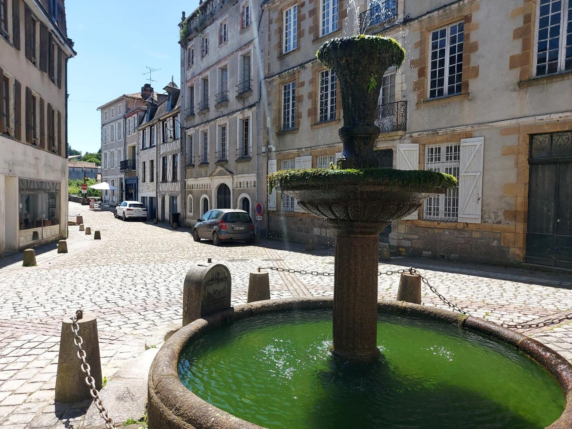 Charming Two Bedroom Gite With Beautiful Gardens Confolens Exterior photo